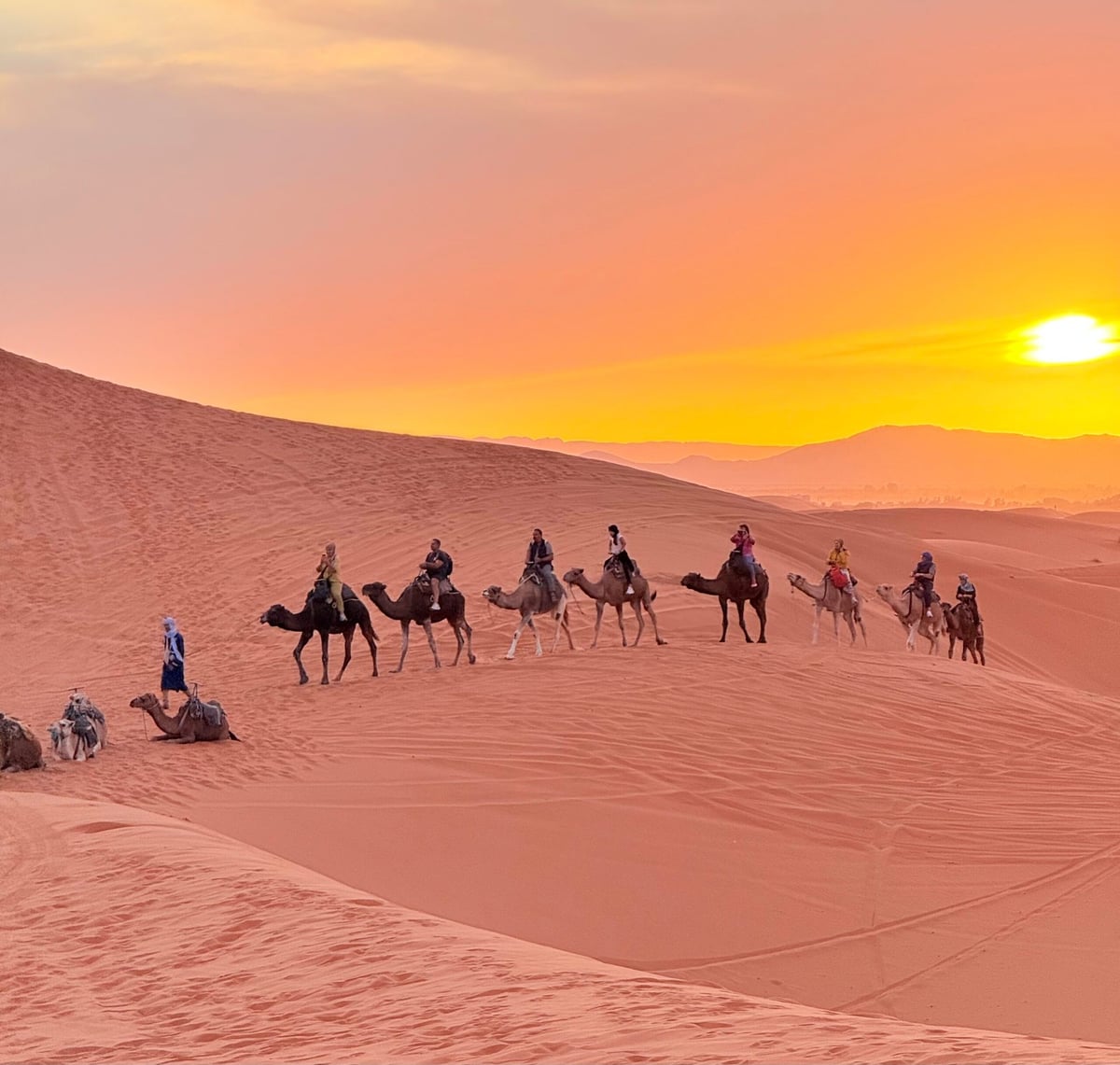 camel trek during sunset time in merzouga desert