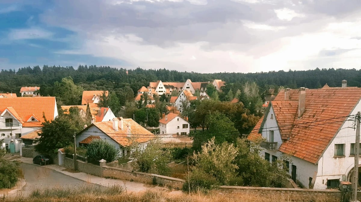 Ifrane visited during an Atlas Mountains day trip from Fes
